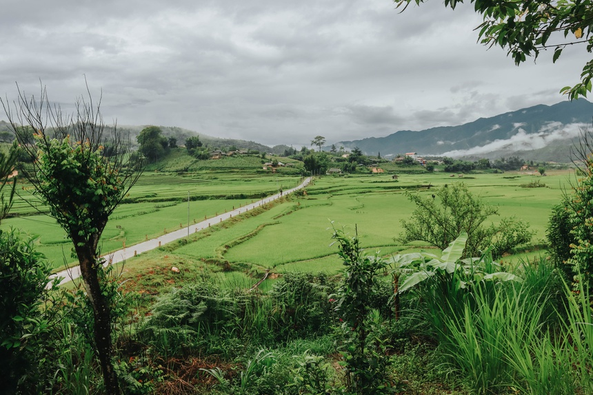 sublime verdant green terraced fields in northwestern vietnam